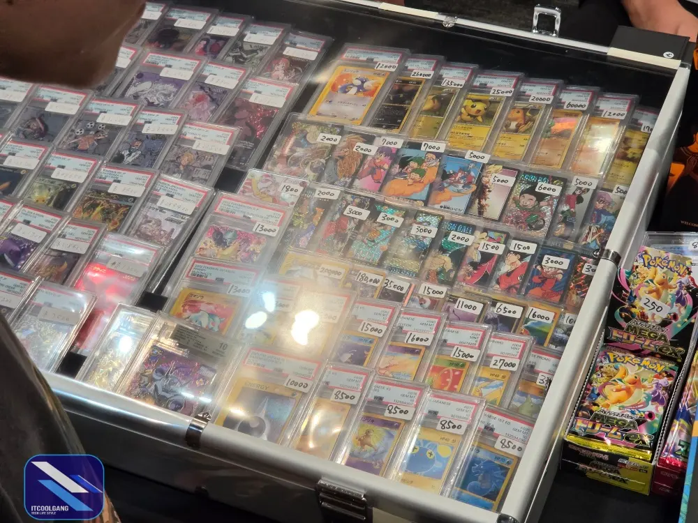 Cardster อธิบายคุณค่าของการ์ดสะสมผ่านความหายาก สภาพ เรื่องราว และชุมชน พร้อมแนวคิดเบื้องหลังงาน Bangkok International Card Show